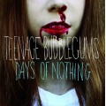 Teenage Bubblegums - Days of Nothing LP